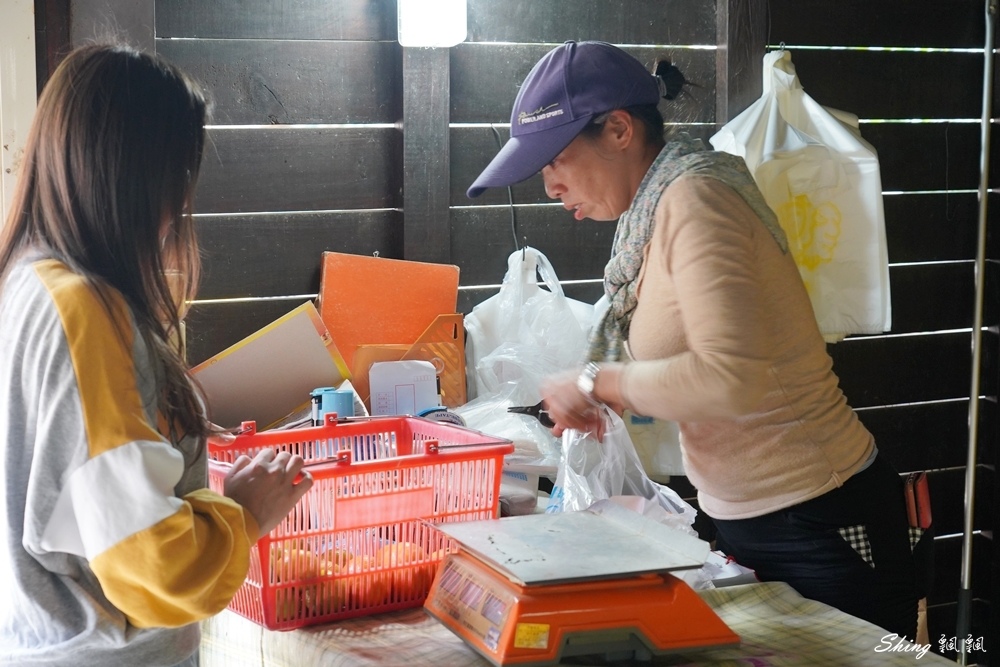 苗栗旅遊景點推薦-農場探訪苗栗一日遊,西湖採果露營農場餐廳,給自己一個大自然中忘憂輕旅行 @博士生瘋狂日記 苗栗旅遊景點推薦-農場探訪苗栗一日遊,西湖採果露營農場餐廳,給自己一個大自然中忘憂輕旅行 @博士生瘋狂日記