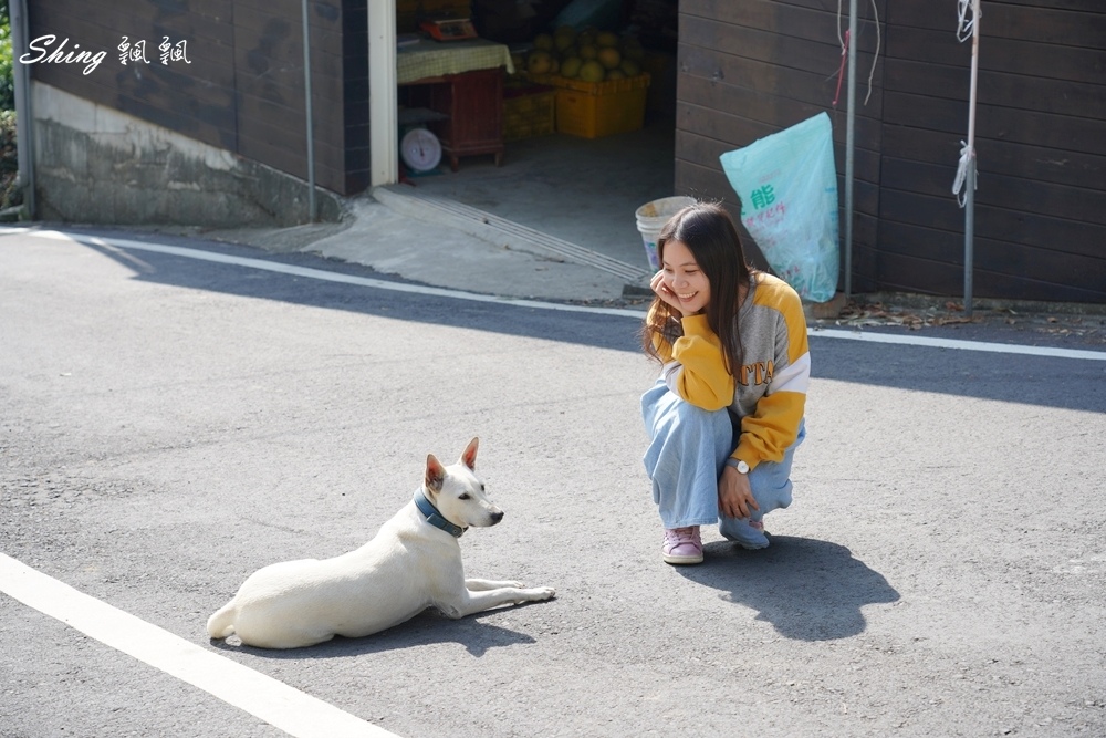苗栗旅遊景點推薦-農場探訪苗栗一日遊,西湖採果露營農場餐廳,給自己一個大自然中忘憂輕旅行 @博士生瘋狂日記 苗栗旅遊景點推薦-農場探訪苗栗一日遊,西湖採果露營農場餐廳,給自己一個大自然中忘憂輕旅行 @博士生瘋狂日記