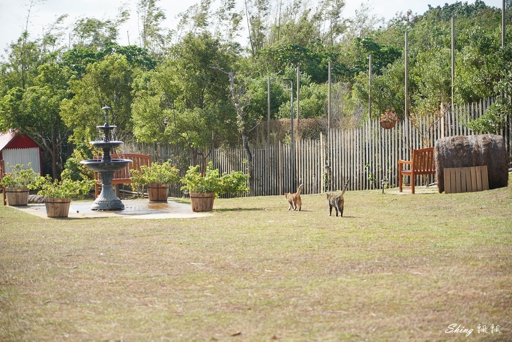 墾丁勿忘我城堡莊園-全球十大最美夕陽民宿,英格蘭歐風建築包棟墾丁民宿大推薦!! @博士生瘋狂日記 墾丁勿忘我城堡莊園-全球十大最美夕陽民宿,英格蘭歐風建築包棟墾丁民宿大推薦!! @博士生瘋狂日記