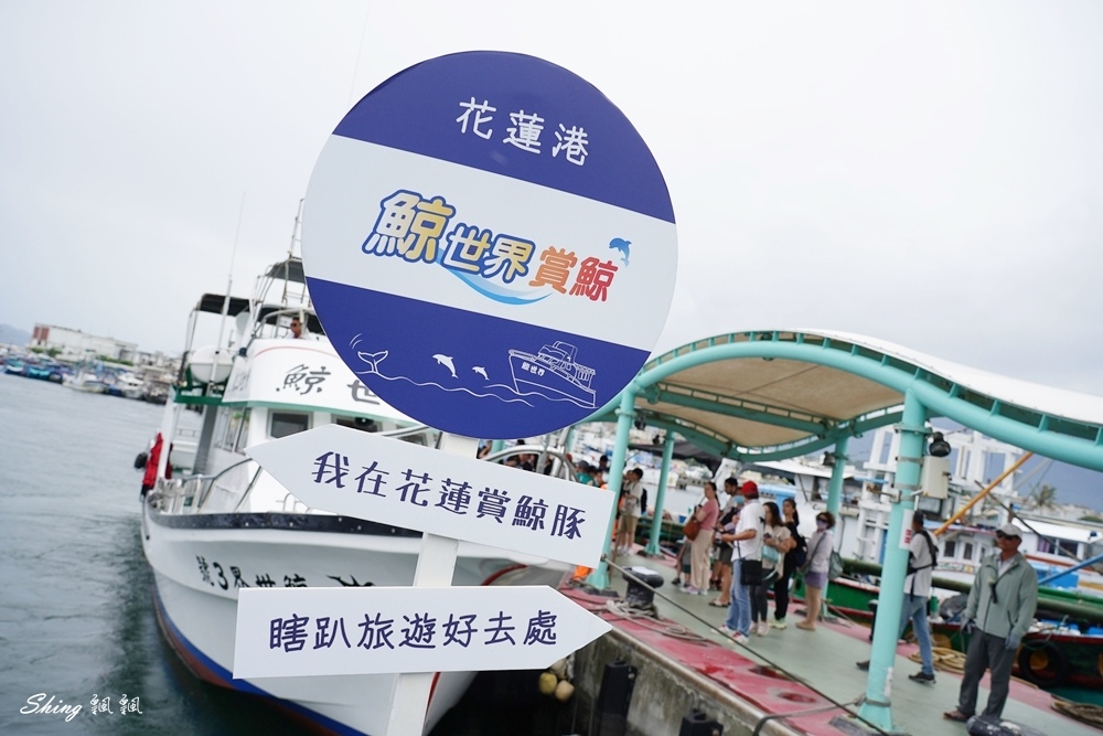 花蓮旅遊友善賞鯨推薦-鯨世界賞鯨船出航,一次看到鯨魚,偽虎鯨跟海豚! @博士生瘋狂日記 花蓮旅遊友善賞鯨推薦-鯨世界賞鯨船出航,一次看到鯨魚,偽虎鯨跟海豚! @博士生瘋狂日記