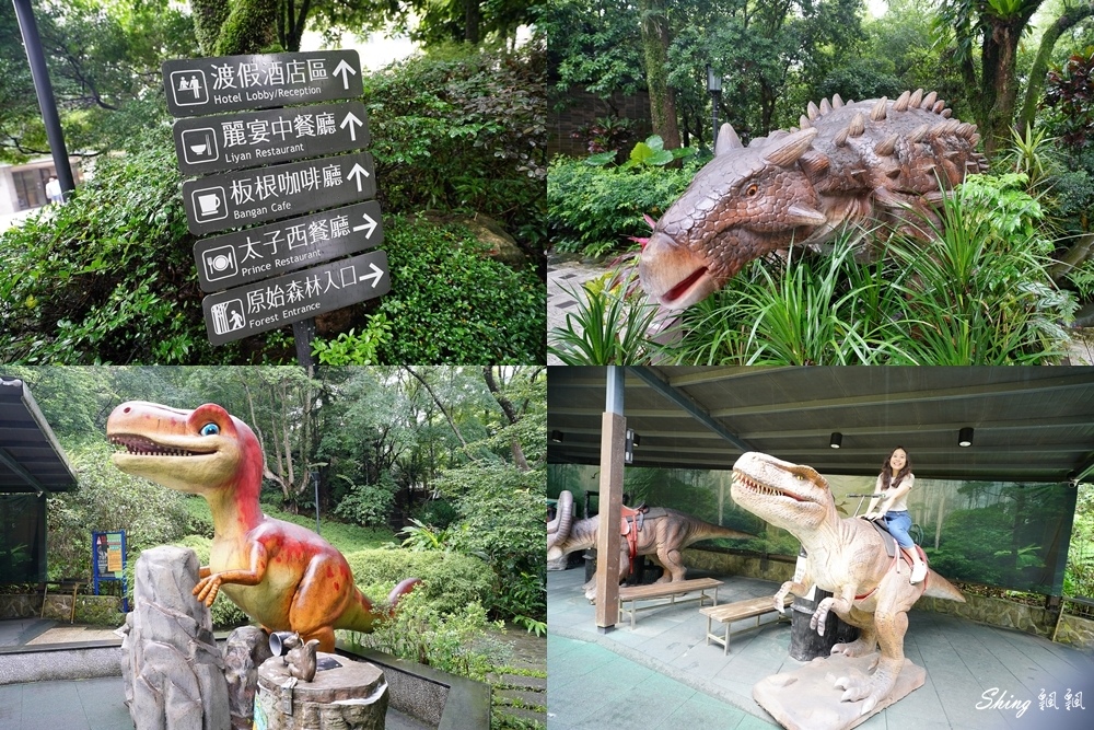 大板根森林溫泉酒店-台北僅存的亞熱帶森林渡假村,和式行溫泉客房,包棟還有超大客廳!! @博士生瘋狂日記 大板根森林溫泉酒店-台北僅存的亞熱帶森林渡假村,和式行溫泉客房,包棟還有超大客廳!! @博士生瘋狂日記