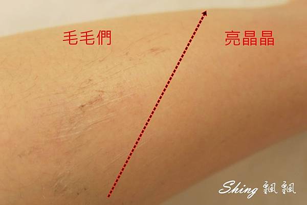 [美妝保養] 夏日美體好物大推薦 -冰涼涼腿部舒緩按摩+毛怪掰掰揮手霜 @博士生瘋狂日記