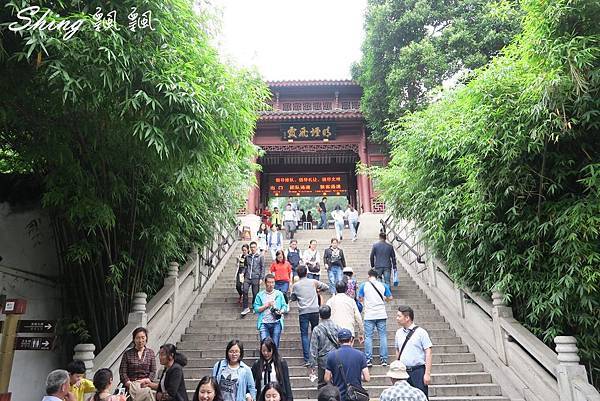 [旅遊] 中國武漢wifi網路分享器1 to 10 -輕巧wifi機隨時隨地輕鬆上網 (文末讀者優惠) @博士生瘋狂日記