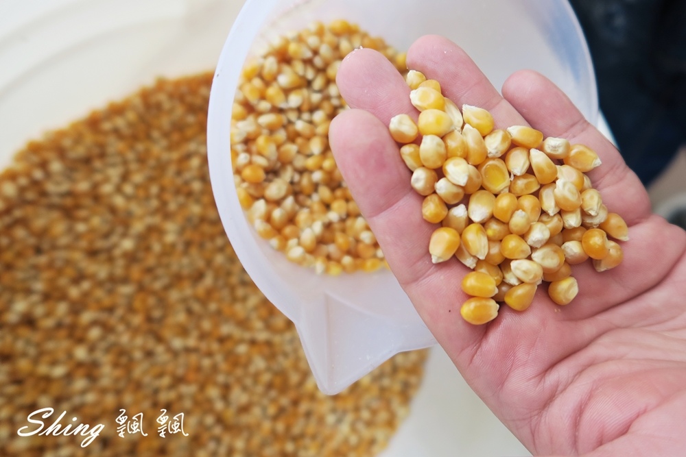 [台中] 荳荳ちゃん手作爆米花- 網路熱銷NO.1，無防腐劑添加的實爆美味 @博士生瘋狂日記