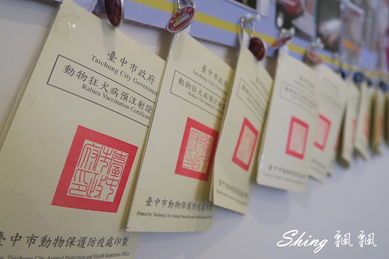 [台中] 朵喵喵咖啡館-台中貓咪餐廳主題咖啡館，乖巧暖心流浪貓認養 @博士生瘋狂日記
