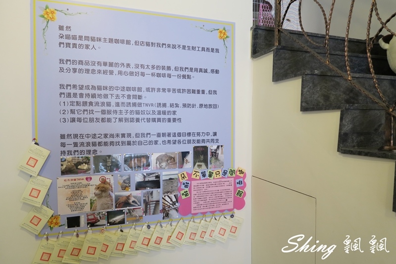 [台中] 朵喵喵咖啡館-台中貓咪餐廳主題咖啡館，乖巧暖心流浪貓認養 @博士生瘋狂日記