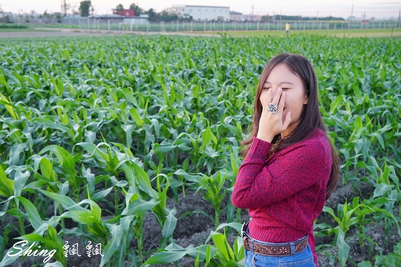 [穿搭] M&F Western原創牛仔時尚-個性單品，質感點綴 @博士生瘋狂日記