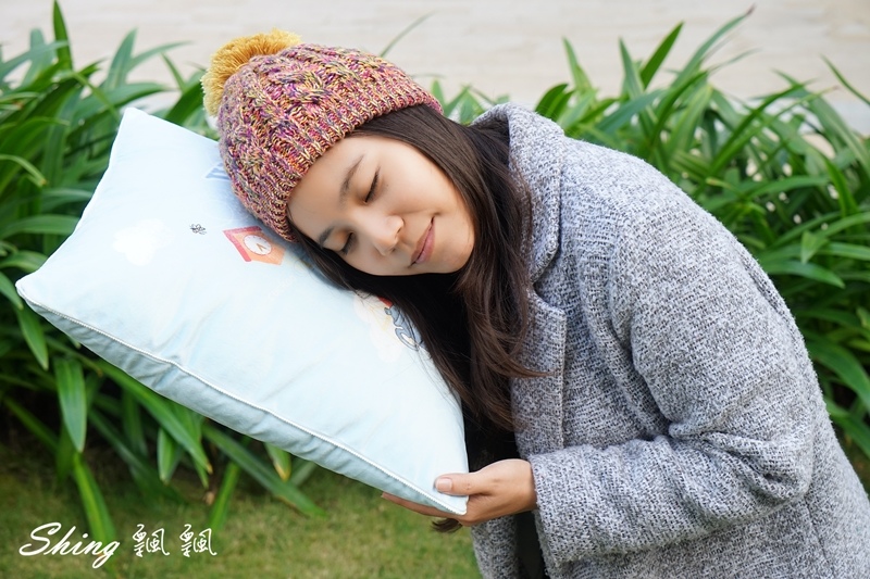 [生活] 向日葵睡眠屋小熊維尼抱枕-伴我好眠午安枕，居家生活柔軟靠墊 @博士生瘋狂日記