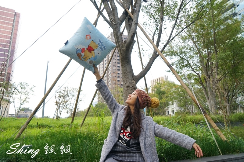 [生活] 向日葵睡眠屋小熊維尼抱枕-伴我好眠午安枕，居家生活柔軟靠墊 @博士生瘋狂日記