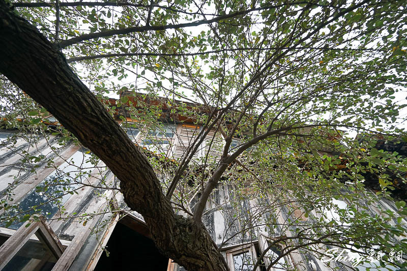 [台中] 13咖啡-台中南屯咖啡館，不需點餐的個性咖啡館，感受咖啡的純粹 @博士生瘋狂日記