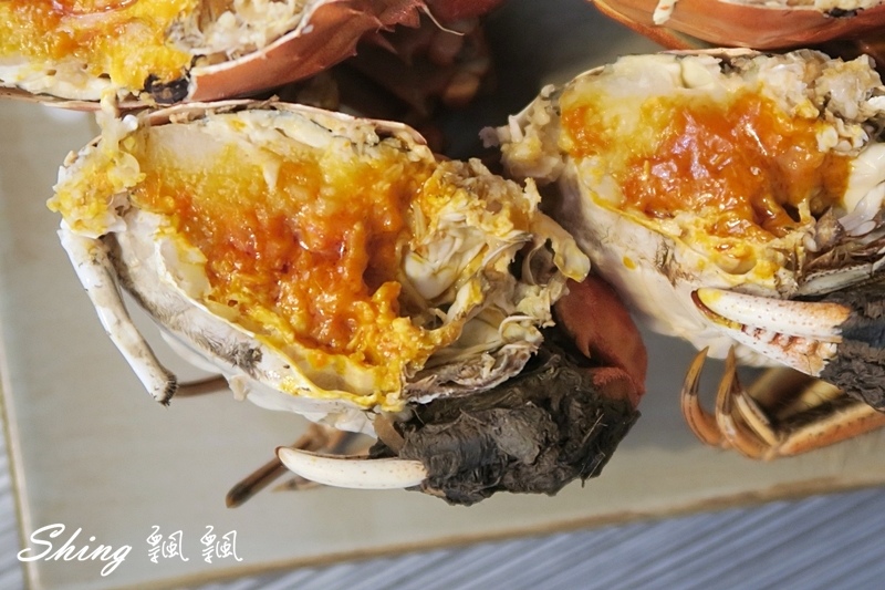 船長的漁人麵丼-台中北區巷弄隱藏美食，鮮美的直送魚貨海鮮料理，吃的到大海的味道 @博士生瘋狂日記