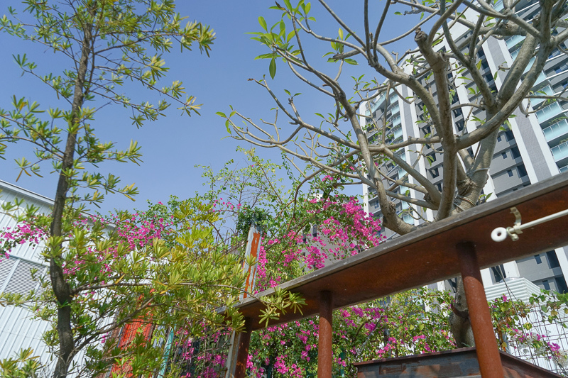 [台中] 這一隻熊Buka-台中北屯特色咖啡館，森林系美景超好拍照，網美IG熱門打卡景點 @博士生瘋狂日記