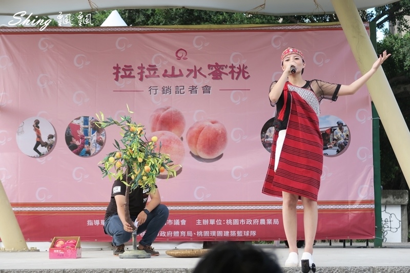 [桃園] 拉拉山水蜜桃，盛夏必搶超JUICY-掌握3大要點，水蜜桃挑選不失誤!! @博士生瘋狂日記