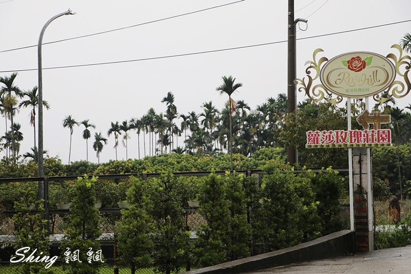 [雲林古坑] 蘿莎玫瑰山莊ROSAHILL-500種玫瑰品種夢幻花園，可以看到世界上最小的溫室玫瑰!! @博士生瘋狂日記