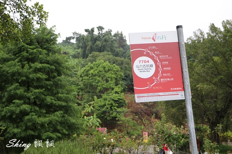 [雲林古坑] 蘿莎玫瑰山莊ROSAHILL-500種玫瑰品種夢幻花園，可以看到世界上最小的溫室玫瑰!! @博士生瘋狂日記