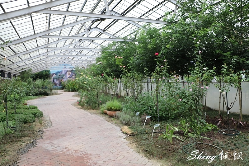 [雲林古坑] 蘿莎玫瑰山莊ROSAHILL-500種玫瑰品種夢幻花園，可以看到世界上最小的溫室玫瑰!! @博士生瘋狂日記