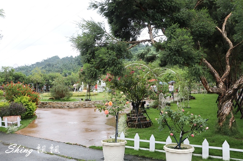 [雲林古坑] 蘿莎玫瑰山莊ROSAHILL-500種玫瑰品種夢幻花園，可以看到世界上最小的溫室玫瑰!! @博士生瘋狂日記