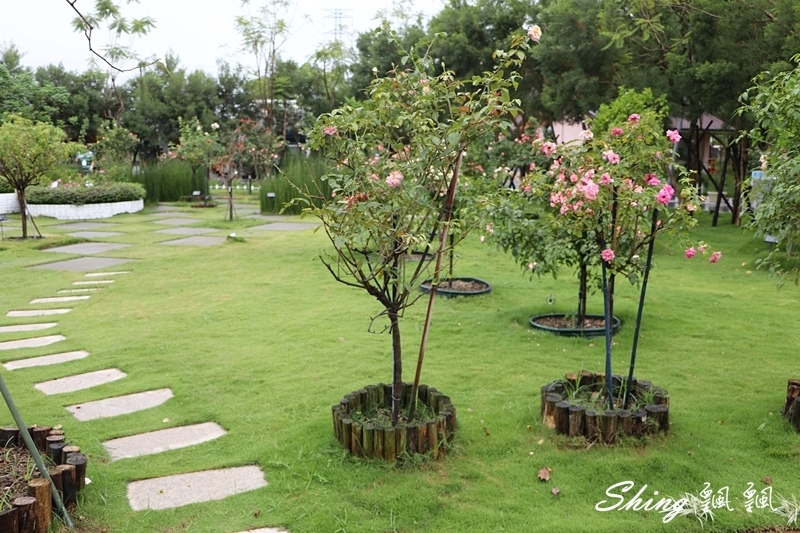 [雲林古坑] 蘿莎玫瑰山莊ROSAHILL-500種玫瑰品種夢幻花園，可以看到世界上最小的溫室玫瑰!! @博士生瘋狂日記