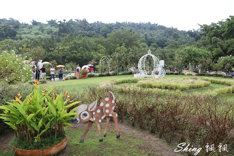 [雲林古坑] 蘿莎玫瑰山莊ROSAHILL-500種玫瑰品種夢幻花園，可以看到世界上最小的溫室玫瑰!! @博士生瘋狂日記