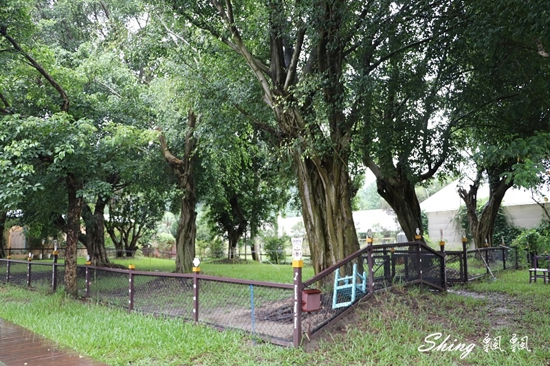 [雲林古坑] 蘿莎玫瑰山莊ROSAHILL-500種玫瑰品種夢幻花園，可以看到世界上最小的溫室玫瑰!! @博士生瘋狂日記