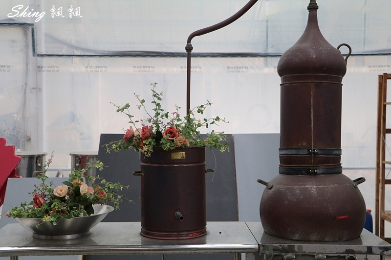 [雲林古坑] 蘿莎玫瑰山莊ROSAHILL-500種玫瑰品種夢幻花園，可以看到世界上最小的溫室玫瑰!! @博士生瘋狂日記