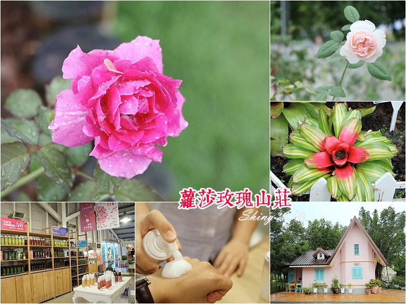 [雲林古坑] 蘿莎玫瑰山莊ROSAHILL-500種玫瑰品種夢幻花園，可以看到世界上最小的溫室玫瑰!! @博士生瘋狂日記