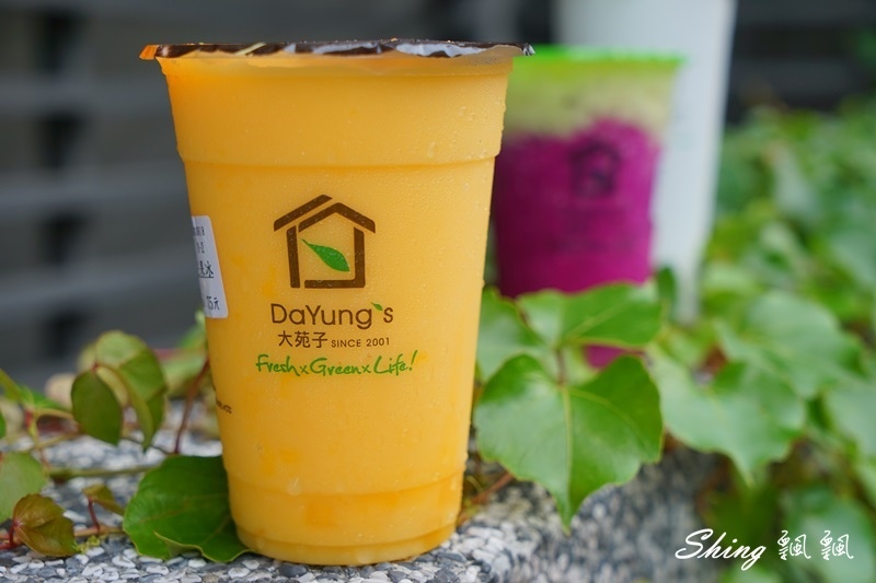 [台中]大苑子逢甲店水果飲料夏日大推薦-奇異恰恰，愛文芒果冰沙，蘋果輕多飲 @博士生瘋狂日記