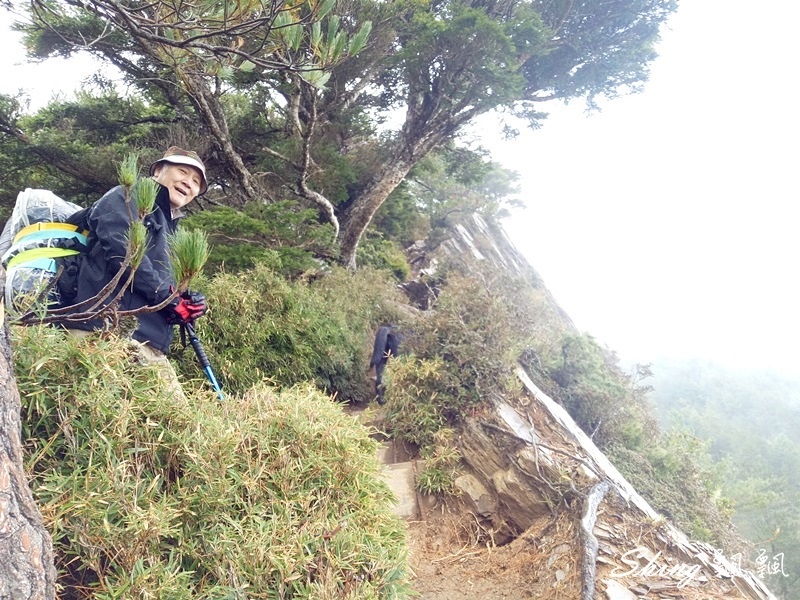 合歡山北峰小溪營地露營(上)-台灣百岳3天2夜搭帳喝咖啡，享受大自然的日出跟夕陽 @博士生瘋狂日記