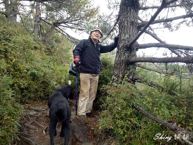 合歡山北峰小溪營地露營(上)-台灣百岳3天2夜搭帳喝咖啡，享受大自然的日出跟夕陽 @博士生瘋狂日記