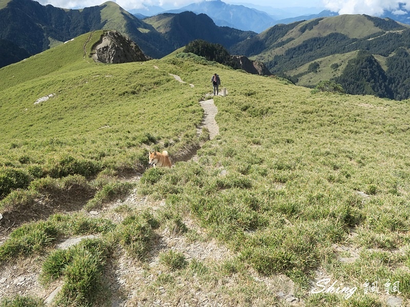 合歡山北峰小溪營地露營(上)-台灣百岳3天2夜搭帳喝咖啡，享受大自然的日出跟夕陽 @博士生瘋狂日記
