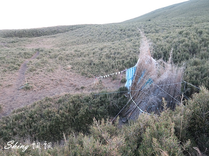 合歡山北峰小溪營地露營(上)-台灣百岳3天2夜搭帳喝咖啡，享受大自然的日出跟夕陽 @博士生瘋狂日記