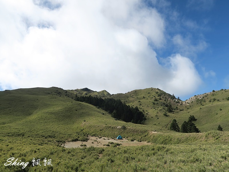合歡山北峰 小溪營地露營(下) @博士生瘋狂日記
