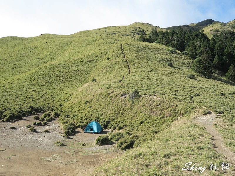 合歡山北峰 小溪營地露營(下) @博士生瘋狂日記