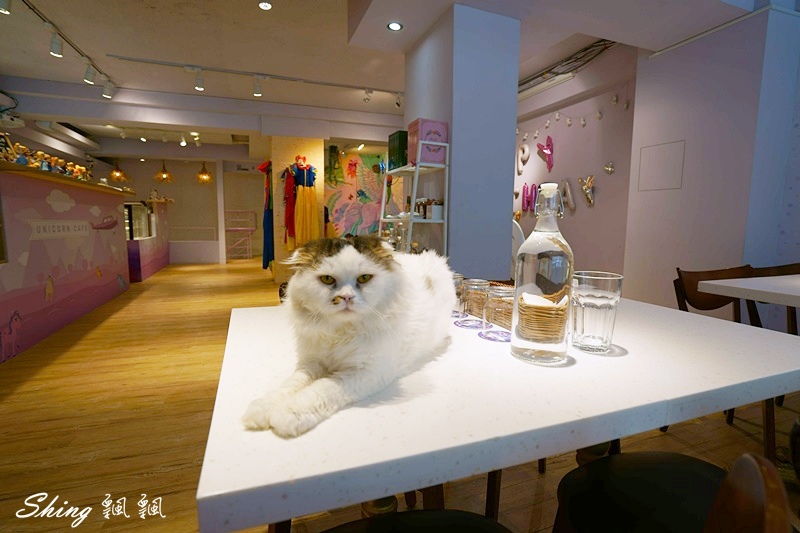 圖角獸咖啡Paint cafe-台北東區角色變裝咖啡館，IG網美下午茶餐廳，公主系列衣服最受歡迎，但我竟然比較適合馬力歐! @博士生瘋狂日記