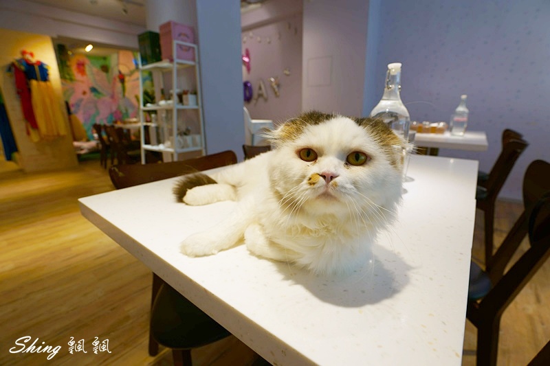 圖角獸咖啡Paint cafe-台北東區角色變裝咖啡館，IG網美下午茶餐廳，公主系列衣服最受歡迎，但我竟然比較適合馬力歐! @博士生瘋狂日記