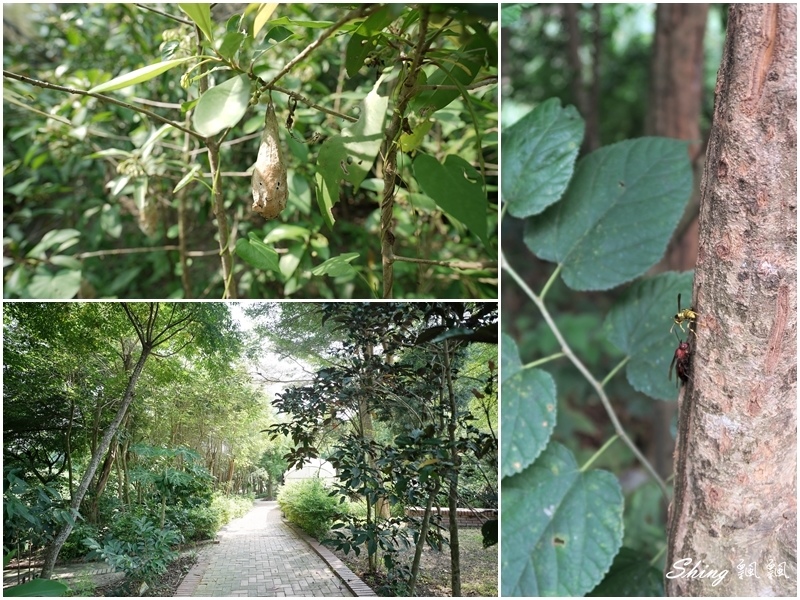 花仙子趣農村，走進八卦山玩出農村WAY-彰化花壇鄉旅遊，彰化旅遊景點推薦，超多親子手作DIY活動親近大自然 @博士生瘋狂日記