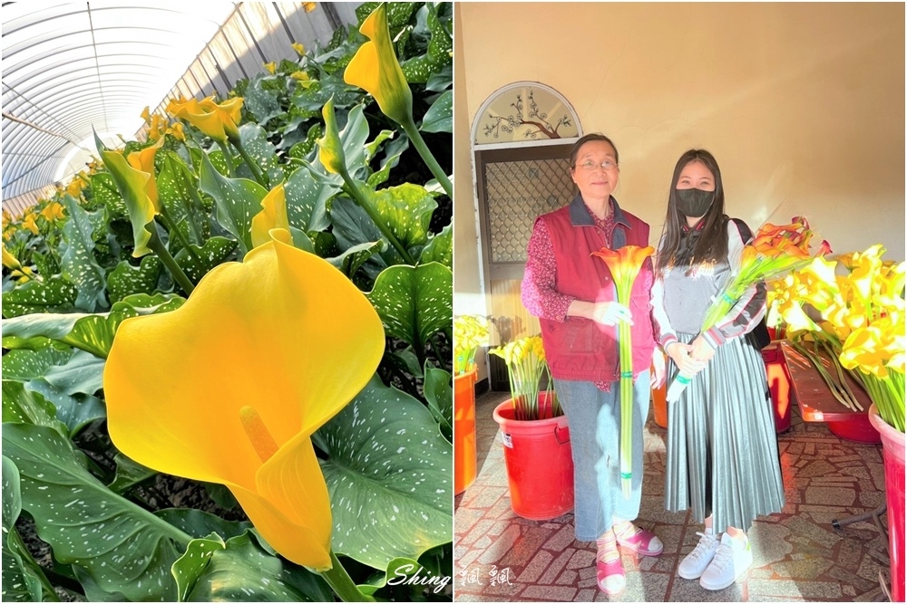 林園居農場民宿-桃園住宿推薦，親子農事體驗，環保有機無毒有機農場田園DIY @博士生瘋狂日記