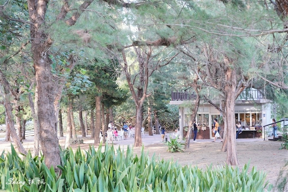 及林春咖啡Gilly Primarera-澎湖最美海景咖啡館推薦，還可以在森林裡面盪鞦韆，看無敵海景! @博士生瘋狂日記