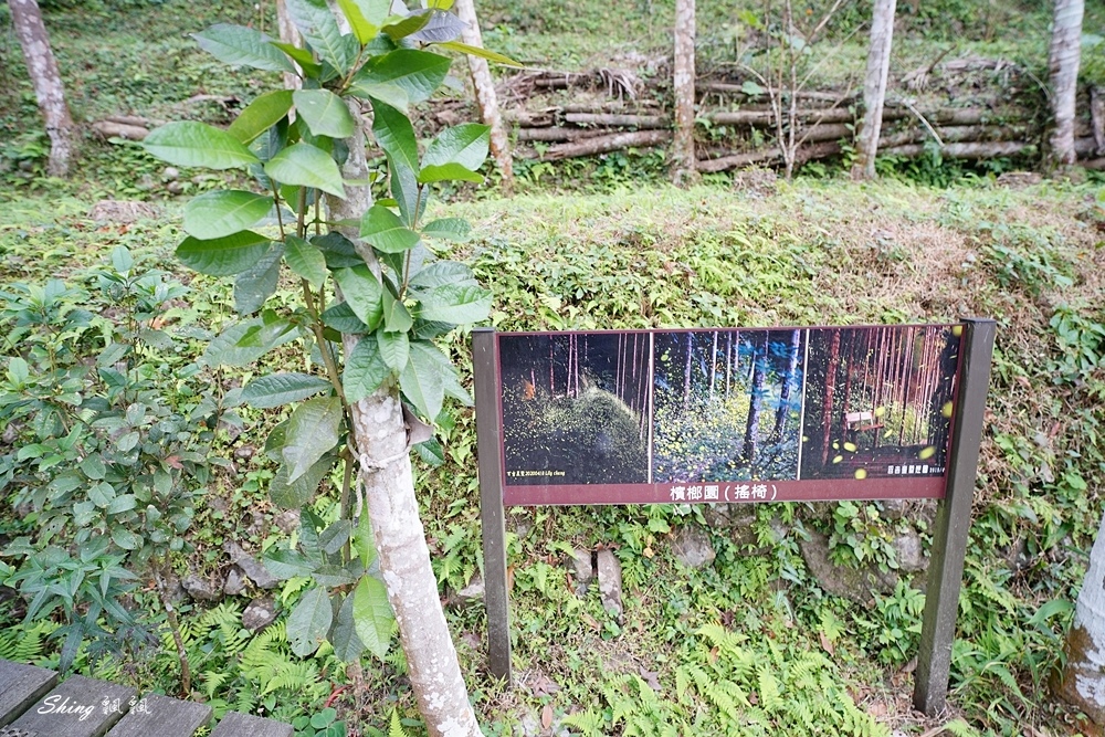 百吉星墅莊園-森林系大溪包棟住宿推薦，跟滿山滿谷螢火蟲一起睡一晚!! @博士生瘋狂日記