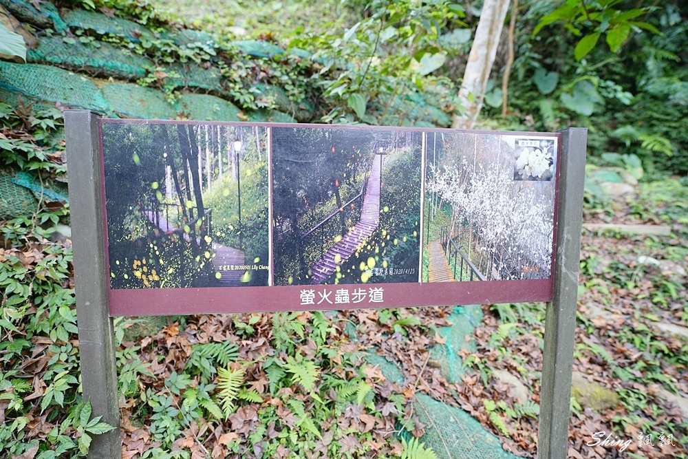 百吉星墅莊園-森林系大溪包棟住宿推薦，跟滿山滿谷螢火蟲一起睡一晚!! @博士生瘋狂日記