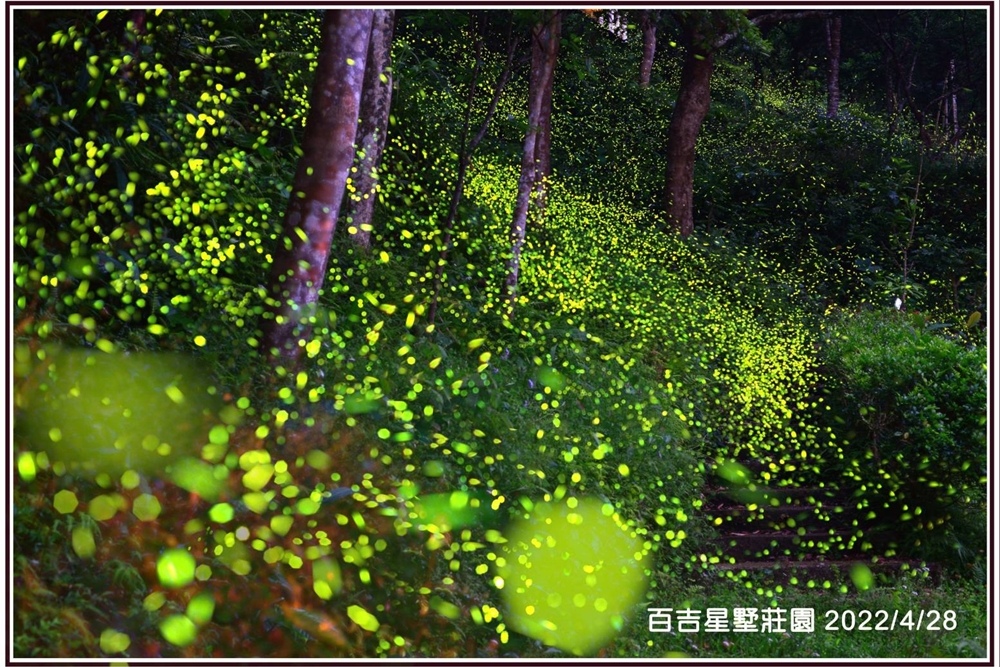 百吉星墅莊園-森林系大溪包棟住宿推薦，跟滿山滿谷螢火蟲一起睡一晚!! @博士生瘋狂日記