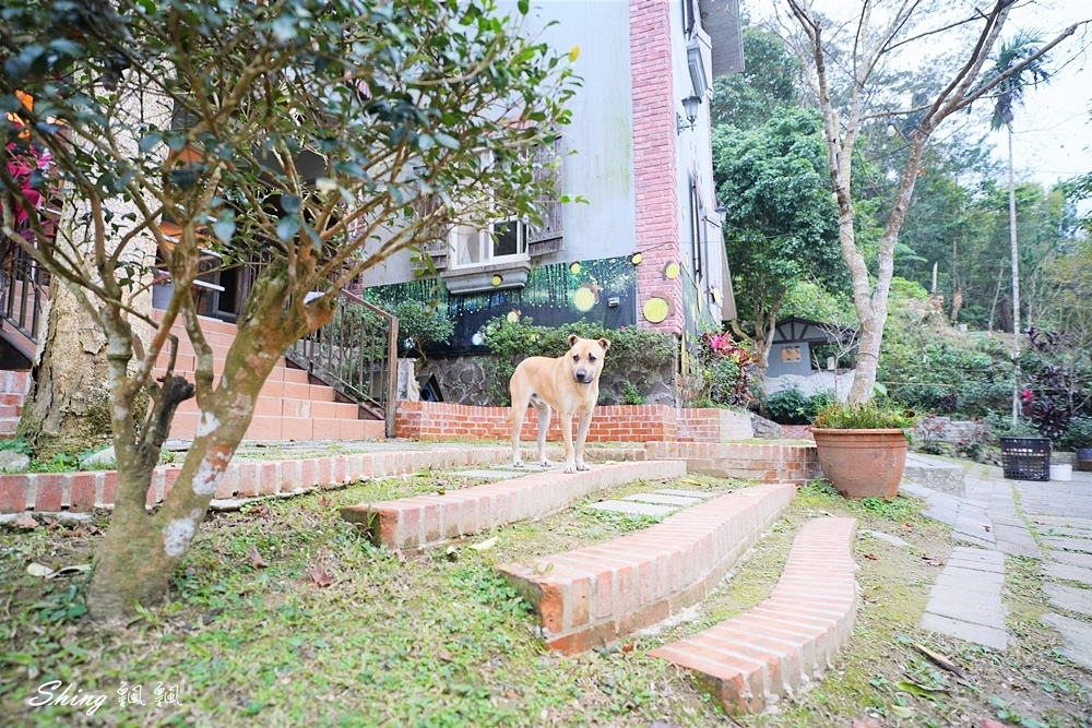 百吉星墅莊園-森林系大溪包棟住宿推薦，跟滿山滿谷螢火蟲一起睡一晚!! @博士生瘋狂日記