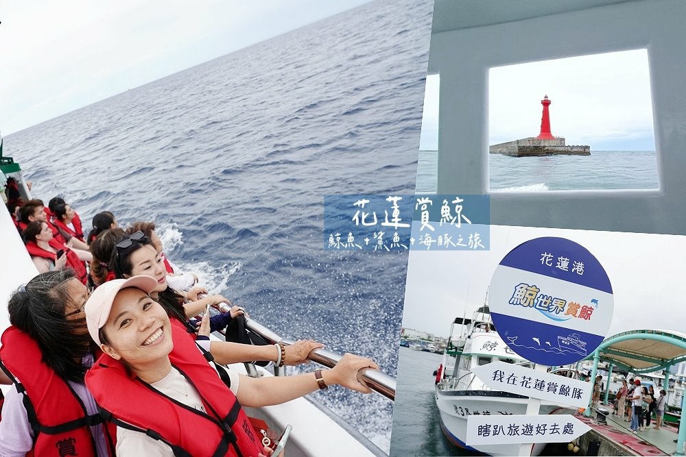 花蓮旅遊友善賞鯨推薦-鯨世界賞鯨船出航，一次看到鯨魚，偽虎鯨跟海豚! @博士生瘋狂日記