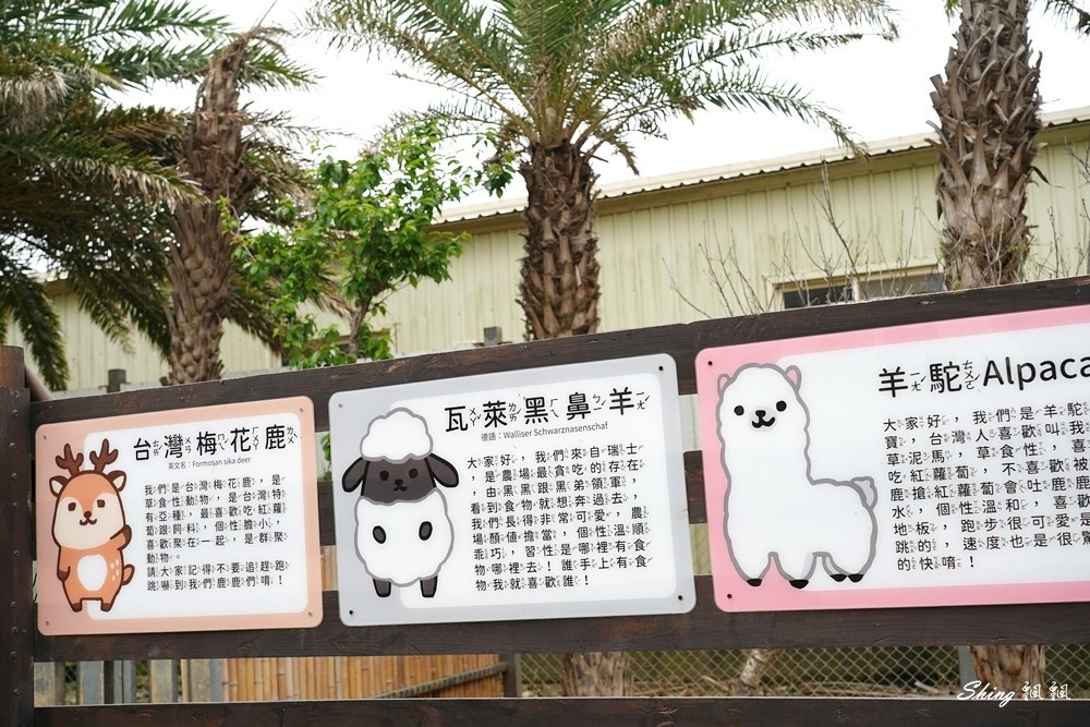 廢物媽媽育兒農場-必去親子新竹景點，餵食超人氣水豚君，還看土撥鼠睡到姿勢太自在 @博士生瘋狂日記
